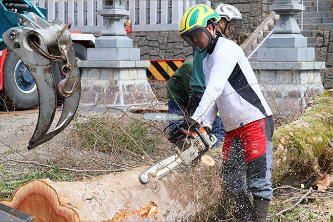 株式会社カナモリ林業 採用情報